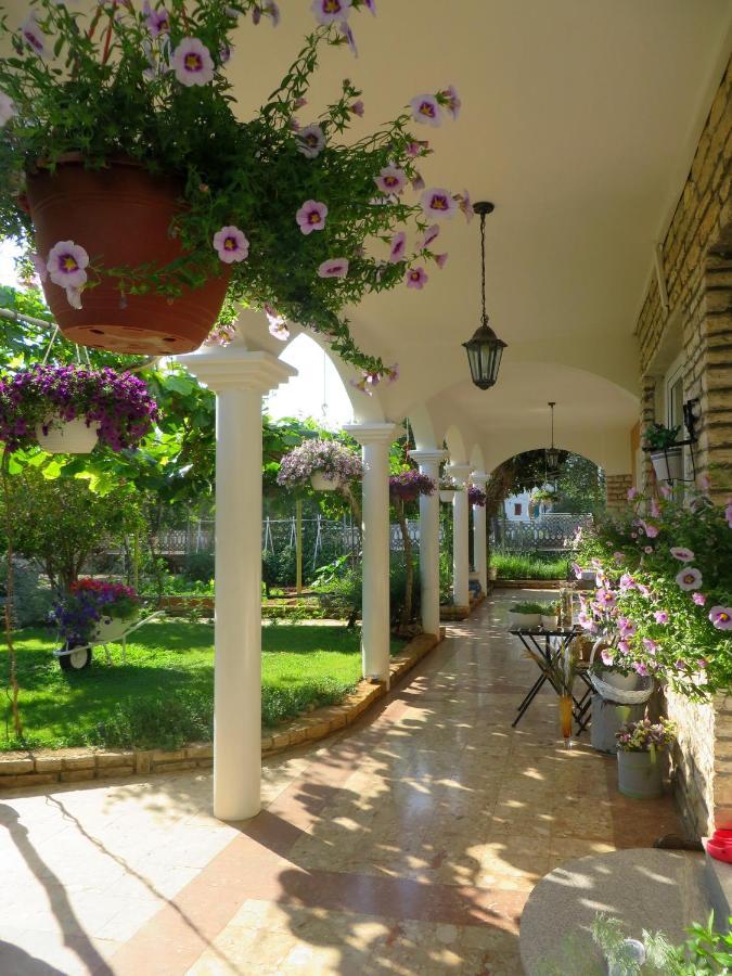 Beach Apartment Roza Biograd Oneroom - Premium Location Biograd Na Moru Exteriér fotografie