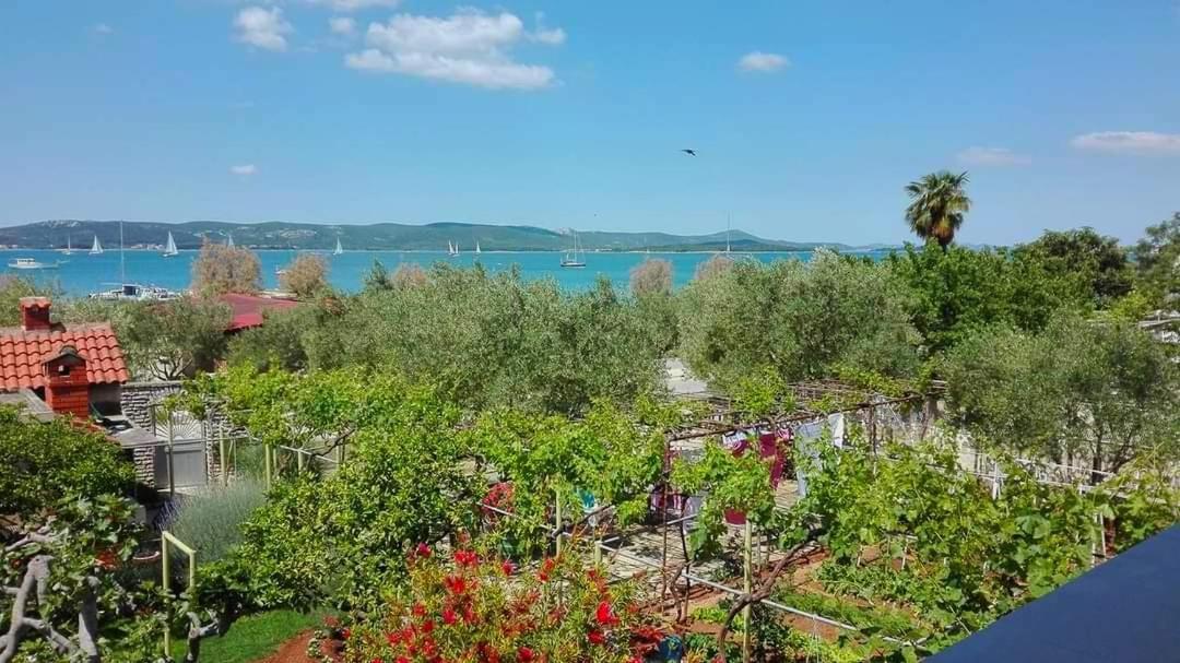 Beach Apartment Roza Biograd Oneroom - Premium Location Biograd Na Moru Exteriér fotografie