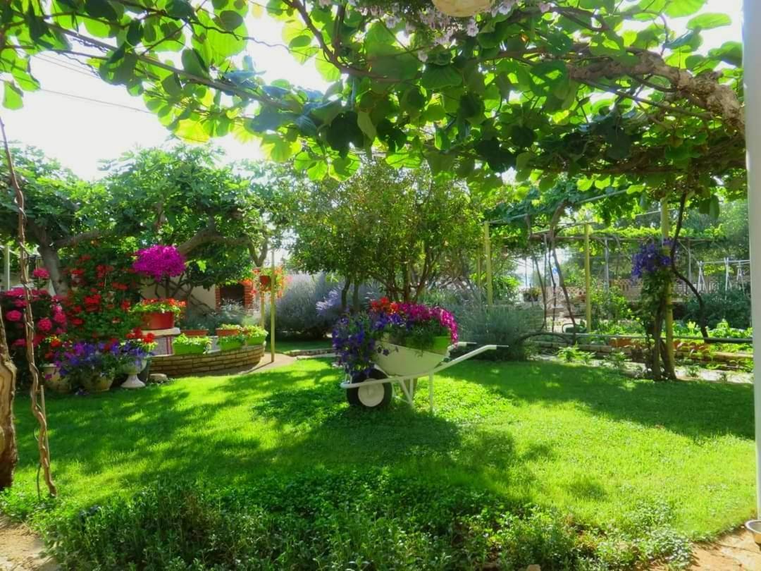 Beach Apartment Roza Biograd Oneroom - Premium Location Biograd Na Moru Exteriér fotografie
