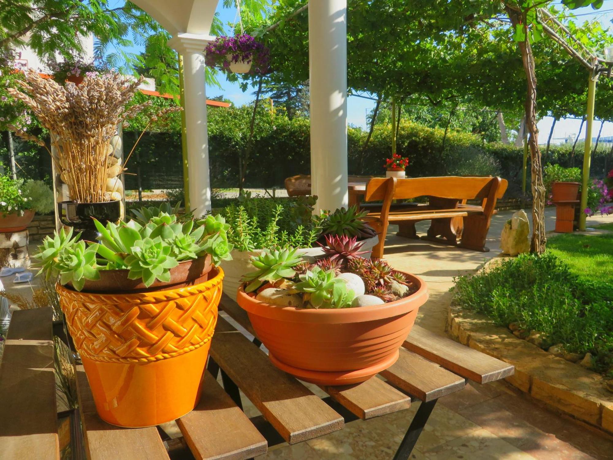 Beach Apartment Roza Biograd Oneroom - Premium Location Biograd Na Moru Exteriér fotografie